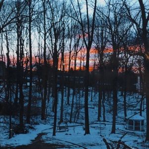 Meet your Posher, Abigail